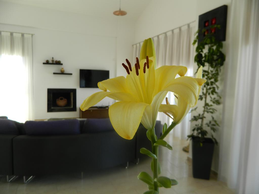Dionysos Villa Péjia Kültér fotó